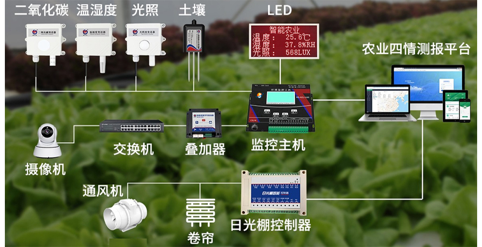智慧大棚(圖1)